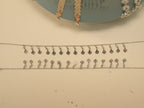 The pair of flower disc payal laid out to show the full fringe.