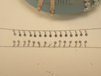 The pair of flower disc fringe payal laid out full length.