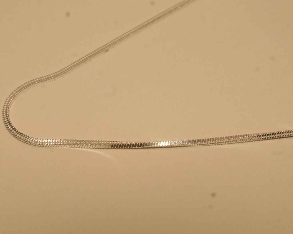 Close view of the flat snake links along the silver chain.