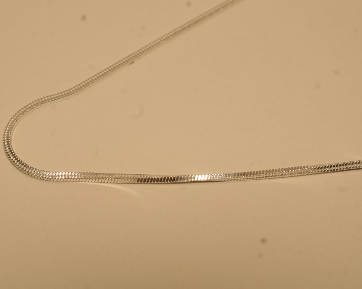 Close view of the flat snake links along the silver chain.