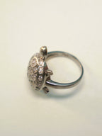 Side view of the tortoise ring, showing the height of the domed shell above the band.
